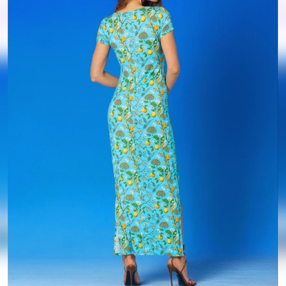 NicoBlu Flora Long Stretch Maxi Dress Size XS Turquoise Hummingbird Print NWOT - Picture 3 of 15